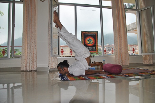 Certified Yoga Teacher
